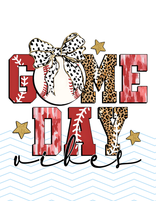 Baseball Game day