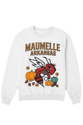 Maumelle Arkansas Fall