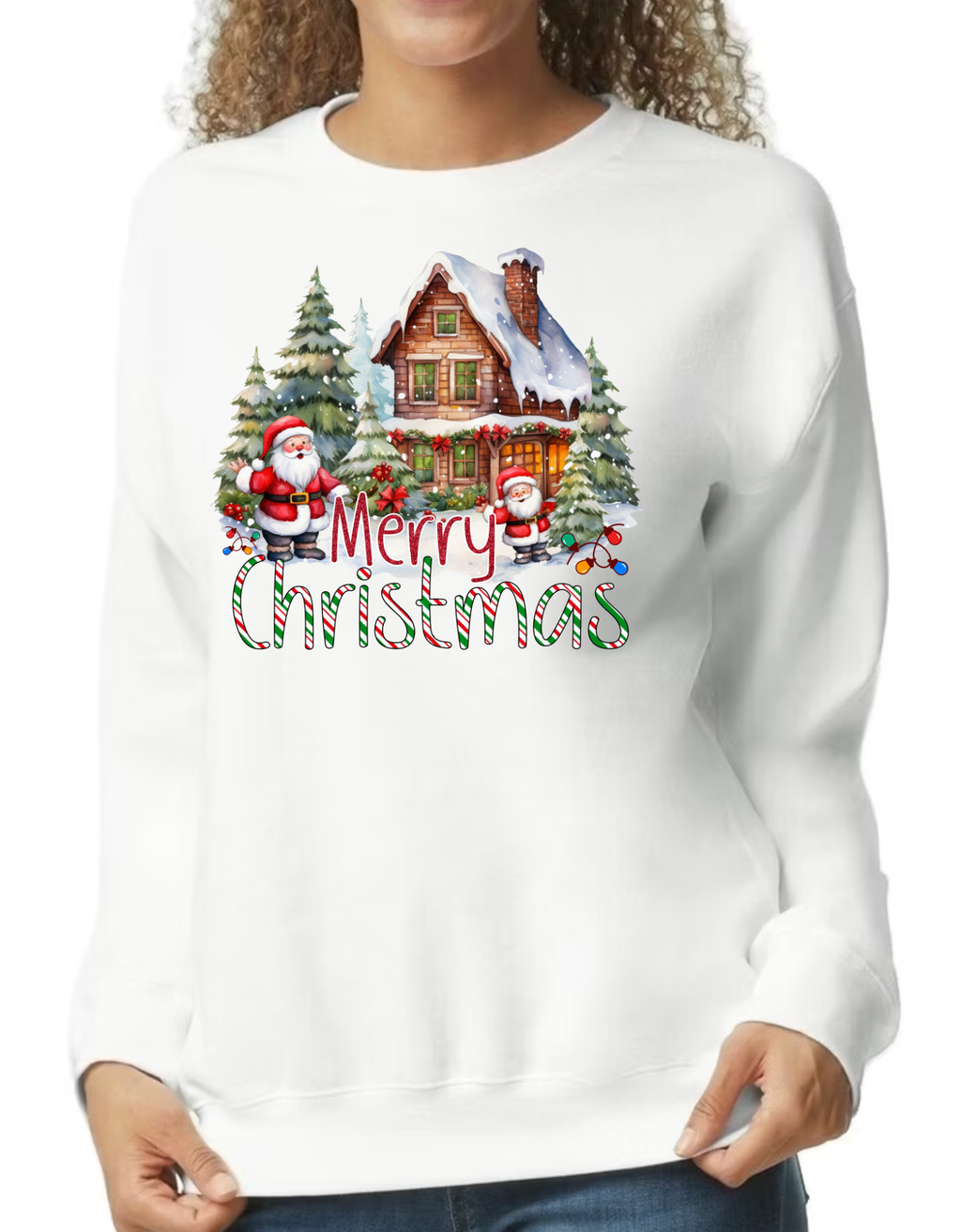 Merry Christmas House